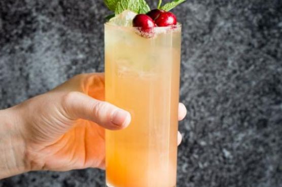 Grapefruit Ginger Spritzer Grapefruit Ginger Spritzer