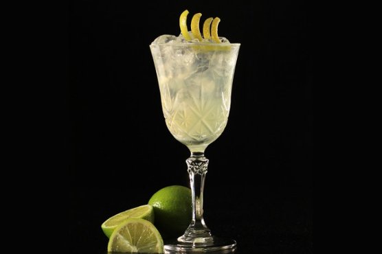 Gin Sour Gin Sour