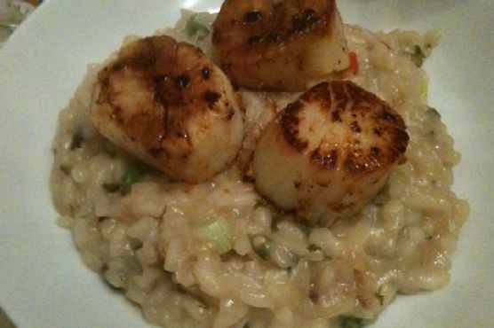 Coconut Thai Risotto With Seared Scallops Coconut Thai Risotto With Seared Scallops