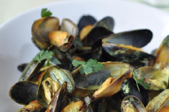 Curry Mussels Curry Mussels