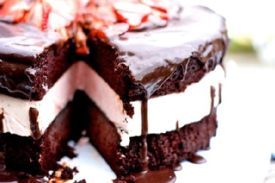 Favorite Moist Chocolate Cake Favorite Moist Chocolate Cake