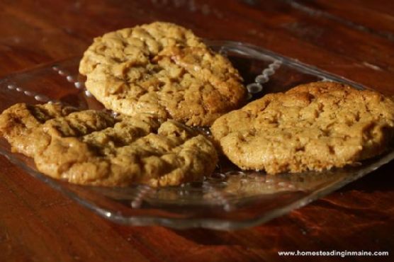 Flour-Less Peanut Butter Cookies Flour-Less Peanut Butter Cookies