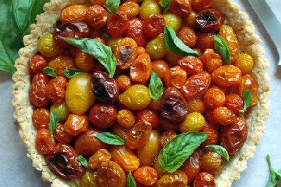 Fresh Tomato Tart Fresh Tomato Tart