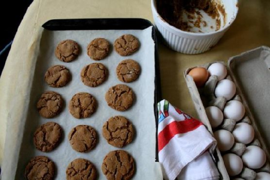 Ginger Molasses Rounds