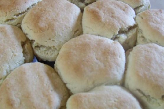 Gluten Free Dairy Free Buttermilk Biscuits Gluten Free Dairy Free Buttermilk Biscuits