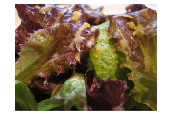 Lemon Dijon Vinaigrette Lemon Dijon Vinaigrette