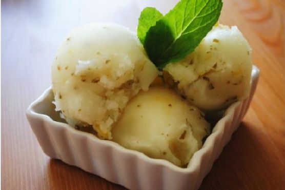 Lemon Mint Sorbet Lemon Mint Sorbet