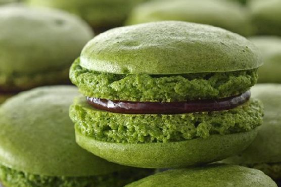 Macha Macarons Macha Macarons