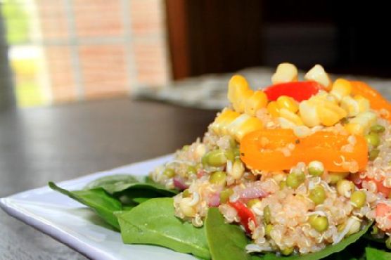 Mung Bean Sprout and Quinoa Salad Mung Bean Sprout and Quinoa Salad