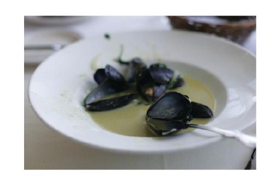 Mussels In Curry Sauce