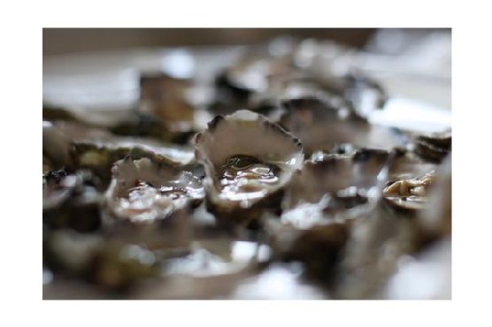Oysters Diablo Oysters Diablo