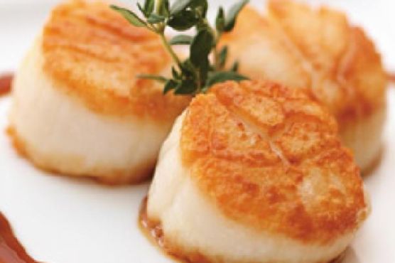 Pan Seared Fresh Maine Diver Scallops Creamy Avocado Champagne Grape Salad Teriyaki Cabernet Butter Sauce Pan Seared Fresh Maine Diver Scallops Creamy Avocado Champagne Grape Salad Teriyaki Cabernet Butter Sauce