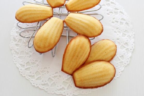 Yoghurt Honey Madeleines Yoghurt Honey Madeleines