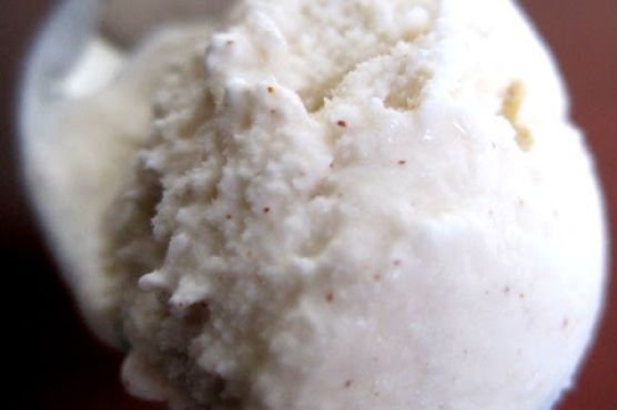Snickerdoodle Ice Cream